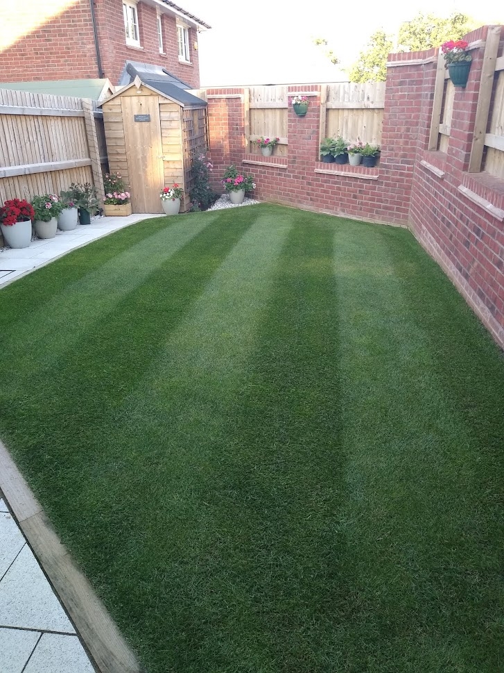 Small Lawn Care Treatments
