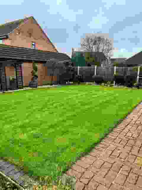 An attractive green lawn benefiting from a lawn care service 