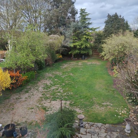 How to Fix a Patchy Lawn After a Dry Summer