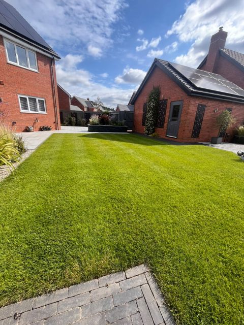 Is Your Lawn Looking Dry and Patchy? What Summer Feeding Can and Can’t Fix